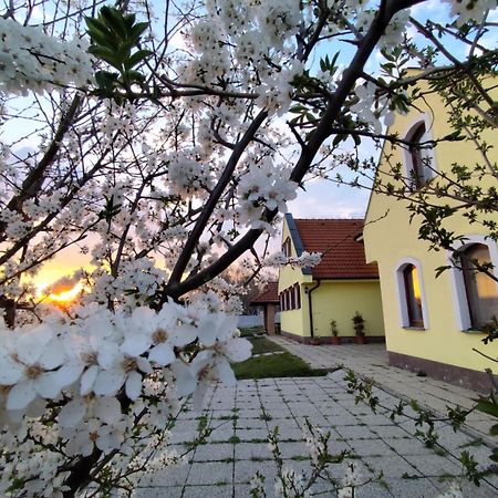Idylicky Rodinny Penzion Arkadia Pri Dunajskej Cyklotrase Kyselica Экстерьер фото