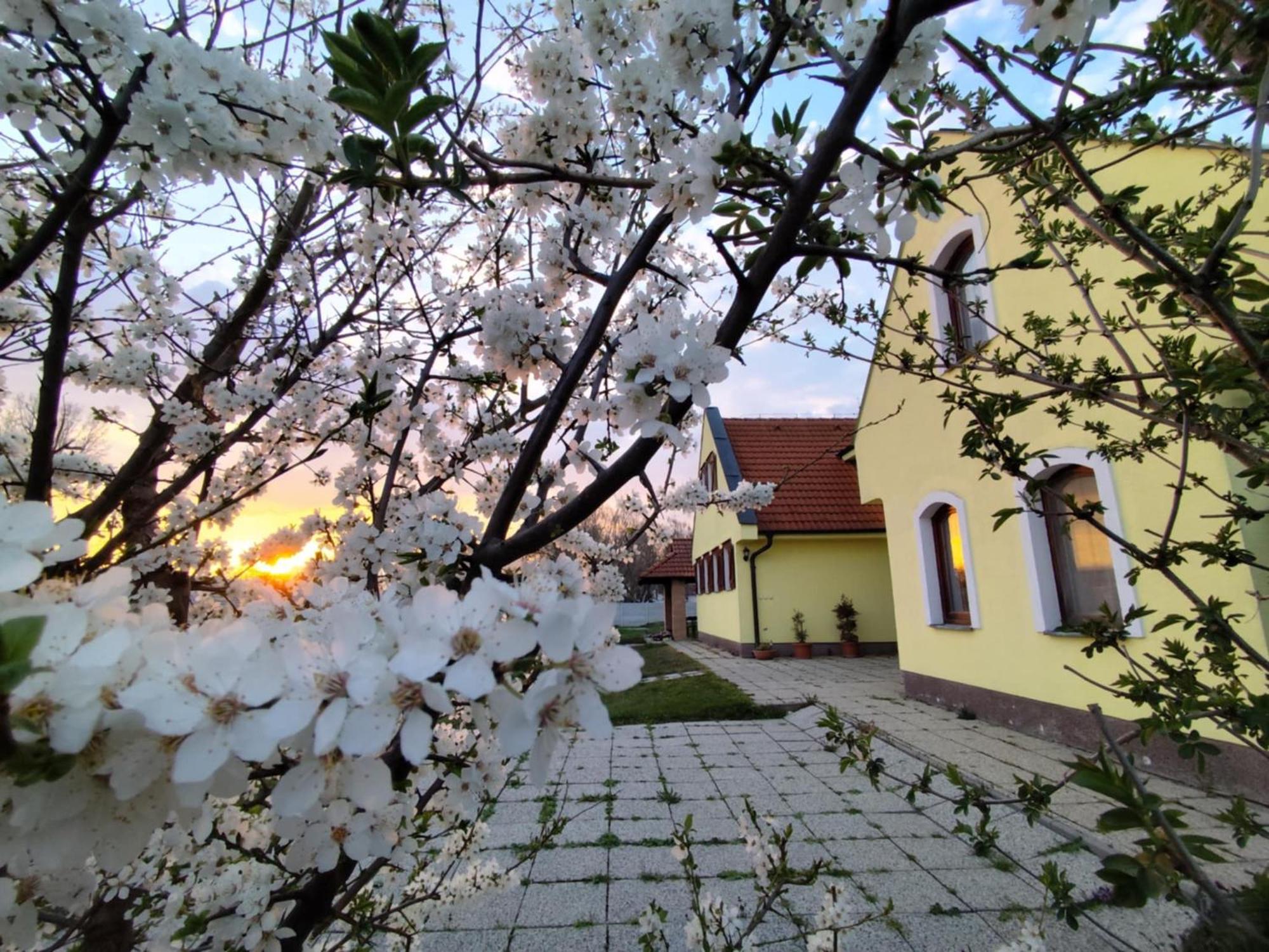 Idylicky Rodinny Penzion Arkadia Pri Dunajskej Cyklotrase Kyselica Экстерьер фото